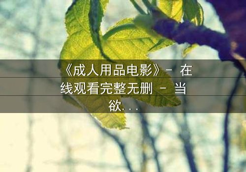 《成人用品电影》- 在线观看完整无删 - 当欲望撕开都市的伪装
