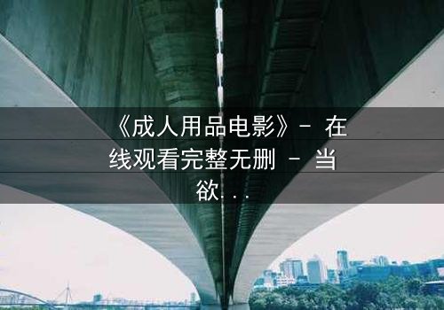 《成人用品电影》- 在线观看完整无删 - 当欲望成为交易的筹码
