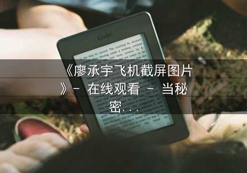 《廖承宇飞机截屏图片》- 在线观看 - 当秘密截屏引爆高空惊魂