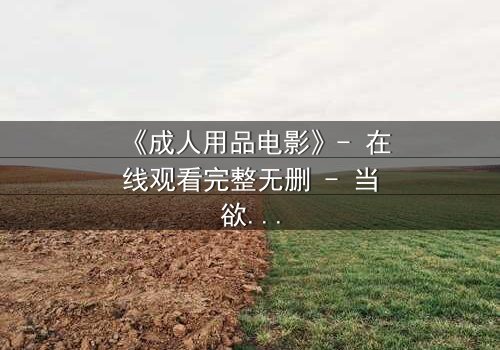 《成人用品电影》- 在线观看完整无删 - 当欲望成为交易的筹码