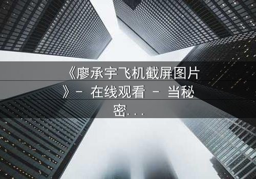 《廖承宇飞机截屏图片》- 在线观看 - 当秘密在空中引爆
