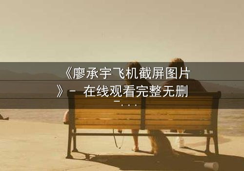 《廖承宇飞机截屏图片》- 在线观看完整无删 - 一张截图引发的生死迷局