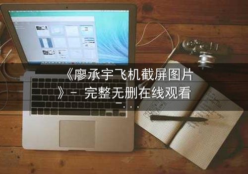 《廖承宇飞机截屏图片》- 完整无删在线观看 - 一场高空惊魂的真相揭秘