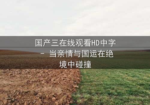 国产三在线观看HD中字 - 当亲情与国运在绝境中碰撞