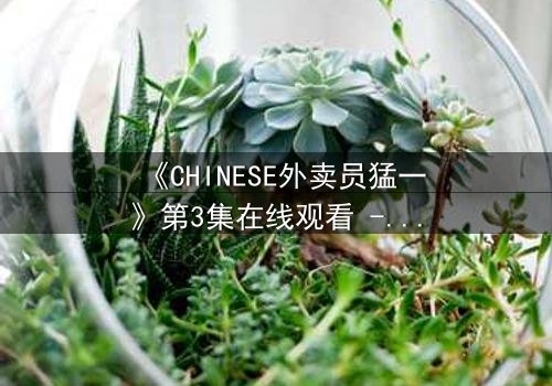 《CHINESE外卖员猛一》第3集在线观看 - 当平凡生活撞上惊天秘密