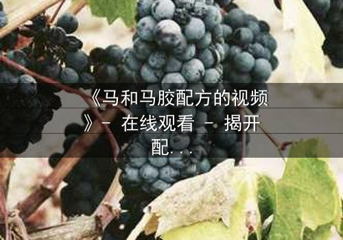 《马和马胶配方的视频》- 在线观看 - 揭开配方背后的惊天秘密