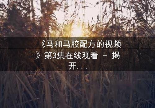 《马和马胶配方的视频》第3集在线观看 - 揭开配方背后的惊天秘密