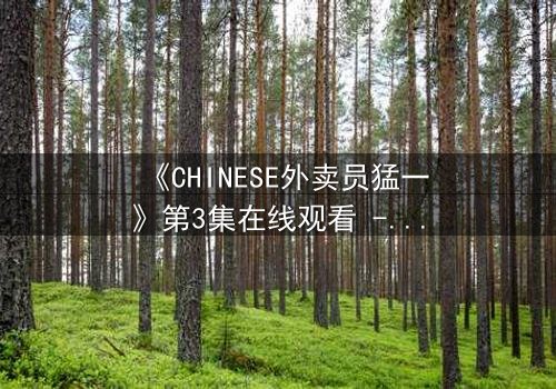 《CHINESE外卖员猛一》第3集在线观看 - 当平凡骑手卷入致命阴谋