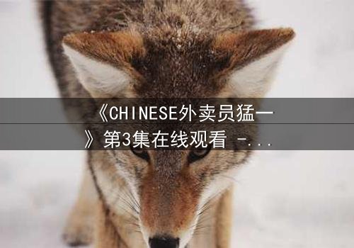 《CHINESE外卖员猛一》第3集在线观看 - 当平凡生活撞上惊心动魄的秘密