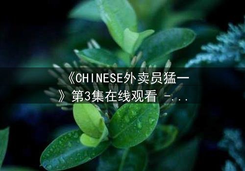 《CHINESE外卖员猛一》第3集在线观看 - 当平凡生活撞上惊天秘密
