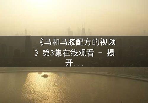 《马和马胶配方的视频》第3集在线观看 - 揭开配方背后的惊天秘密