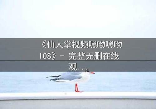 《仙人掌视频嘿呦嘿呦IOS》- 完整无删在线观看 - 一场数字迷宫的生死追逐