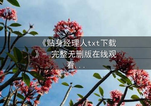 《贴身经理人txt下载》- 完整无删版在线观看 - 揭开职场与情感的隐秘博弈