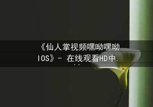 《仙人掌视频嘿呦嘿呦IOS》- 在线观看HD中字 - 一场数字世界的生存游戏