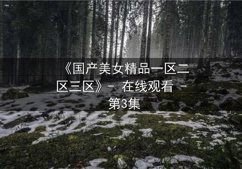 《国产美女精品一区二区三区》- 在线观看 - 第3集