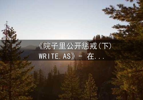 《院子里公开惩戒(下)WRITE.AS》- 在线观看 - 当秘密在阳光下燃烧,谁能全身而退?