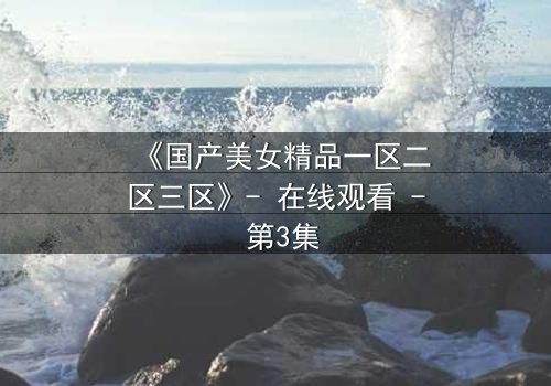 《国产美女精品一区二区三区》- 在线观看 - 第3集