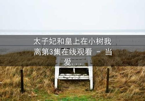 太子妃和皇上在小树我离第3集在线观看 - 当爱恨交织,真相浮出水面