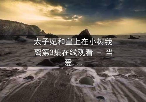 太子妃和皇上在小树我离第3集在线观看 - 当爱恨交织,真相浮出水面