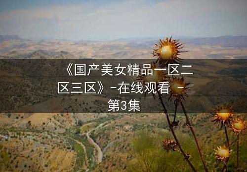 《国产美女精品一区二区三区》-在线观看 - 第3集