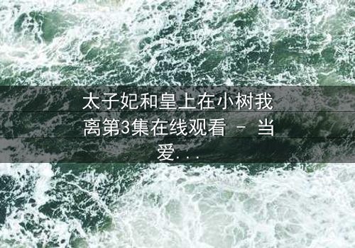 太子妃和皇上在小树我离第3集在线观看 - 当爱恨交织,真相浮出水面