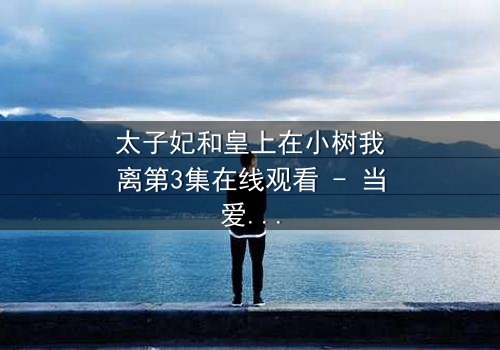 太子妃和皇上在小树我离第3集在线观看 - 当爱恨交织,真相浮出水面