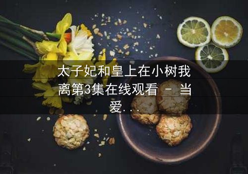 太子妃和皇上在小树我离第3集在线观看 - 当爱恨交织,真相浮出水面