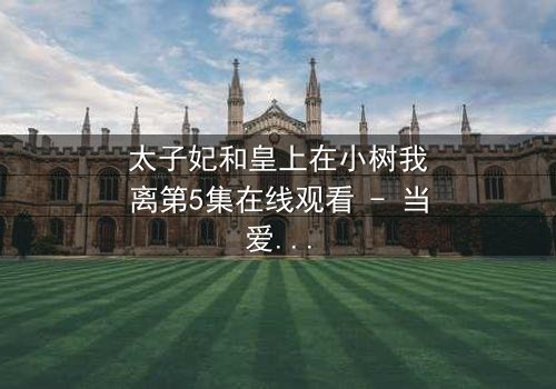 太子妃和皇上在小树我离第5集在线观看 - 当爱在背叛中重生,谁能守住最后的誓言?