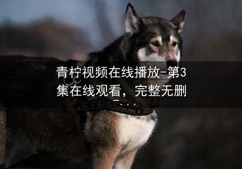 青柠视频在线播放-第3集在线观看,完整无删 - 当真相撕裂,谁还能全身而退?