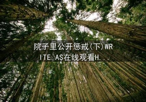 院子里公开惩戒(下)WRITE.AS在线观看HD中字 - 真相揭晓,谁将付出代价?