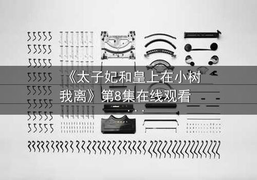 《太子妃和皇上在小树我离》第8集在线观看 - 一场宫廷禁忌之恋的终极考验