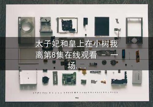 太子妃和皇上在小树我离第8集在线观看 - 一场宫廷禁忌之恋的终极考验