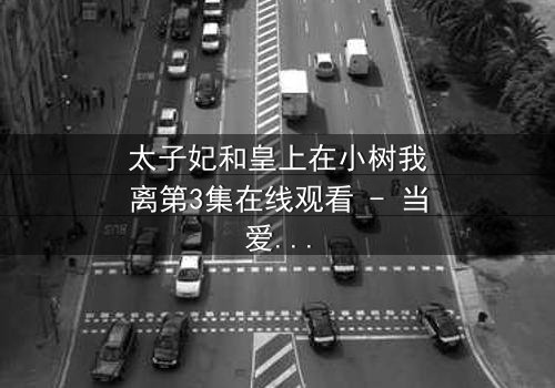 太子妃和皇上在小树我离第3集在线观看 - 当爱恨交织,命运何去何从?