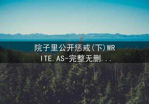 院子里公开惩戒(下)WRITE.AS-完整无删在线观看 - 真相揭晓,谁将付出代价?