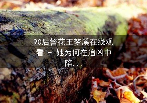 90后警花王梦溪在线观看 - 她为何在追凶中陷入情感漩涡?