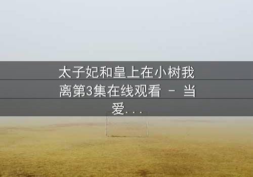 太子妃和皇上在小树我离第3集在线观看 - 当爱恨交织,真相浮出水面