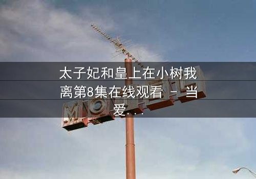 太子妃和皇上在小树我离第8集在线观看 - 当爱恨交织,真相浮出水面