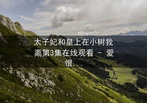 太子妃和皇上在小树我离第3集在线观看 - 爱恨交织的宫廷绝恋