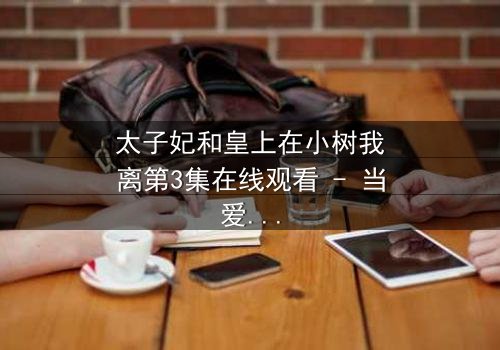 太子妃和皇上在小树我离第3集在线观看 - 当爱恨交织,真相浮出水面