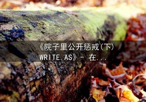 《院子里公开惩戒(下)WRITE.AS》- 在线观看完整无删 - 真相揭晓,谁将付出代价?