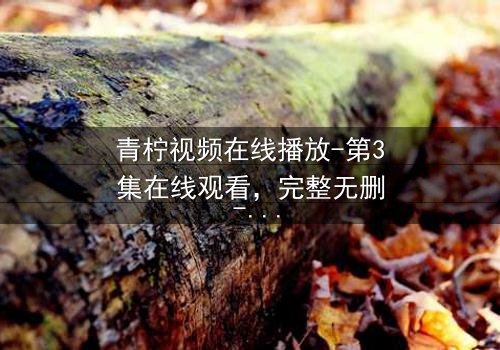 青柠视频在线播放-第3集在线观看,完整无删 - 当真相撕裂,谁还能全身而退?
