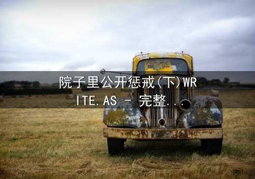 院子里公开惩戒(下)WRITE.AS - 完整无删在线观看 - 真相大白前的最后审判