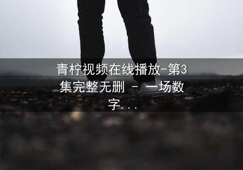 青柠视频在线播放-第3集完整无删 - 一场数字迷局中的生死抉择