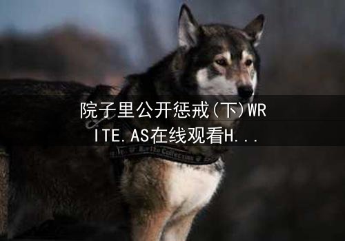 院子里公开惩戒(下)WRITE.AS在线观看HD中字 - 家族秘密的终极审判