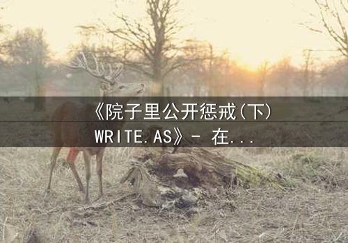 《院子里公开惩戒(下)WRITE.AS》- 在线观看 - 真相揭晓,谁将付出代价?