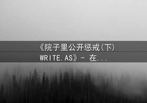 《院子里公开惩戒(下)WRITE.AS》- 在线观看 - 真相揭露,谁将付出代价?