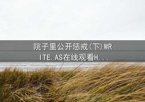 院子里公开惩戒(下)WRITE.AS在线观看HD中字 - 真相揭露,谁将付出代价?