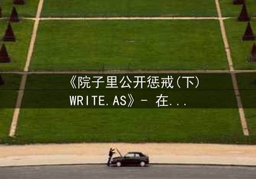 《院子里公开惩戒(下)WRITE.AS》- 在线观看 - 真相揭晓,谁将付出代价?