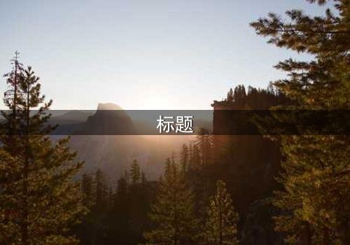 标题