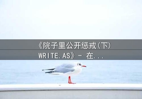 《院子里公开惩戒(下)WRITE.AS》- 在线观看 - 真相揭晓,谁将承担终极代价?